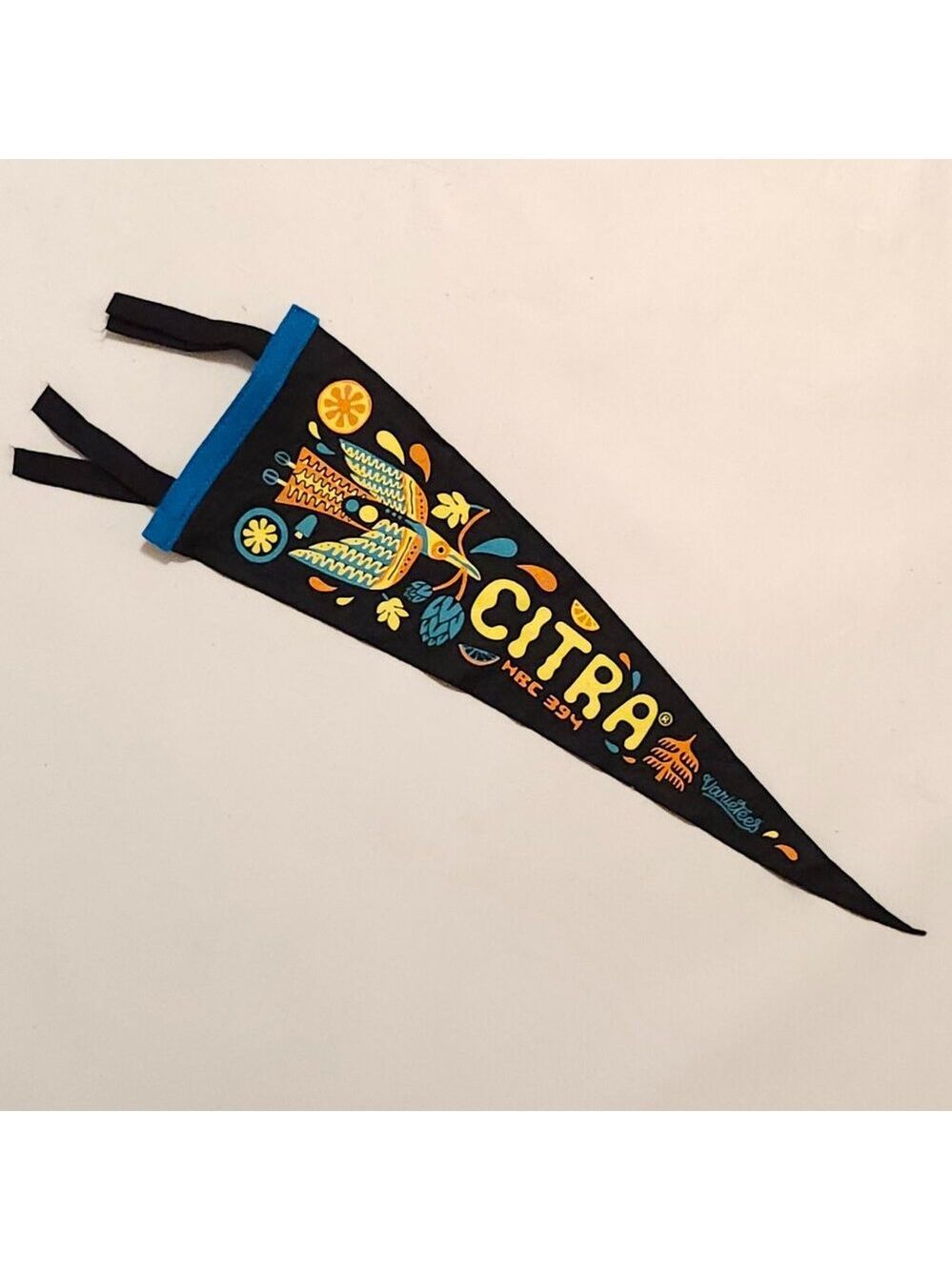 CHEERFUL Citra Pennant Oxford Pennant CELEBRATE EVERYTHING